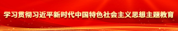 大吊操大B好看1視频冂学习贯彻习近平新时代中国特色社会主义思想主题教育